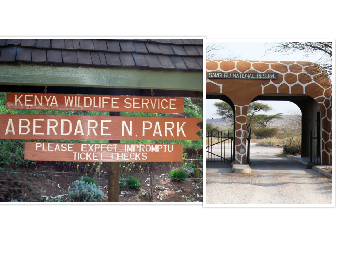 NOTHERN KENYA SAFARI